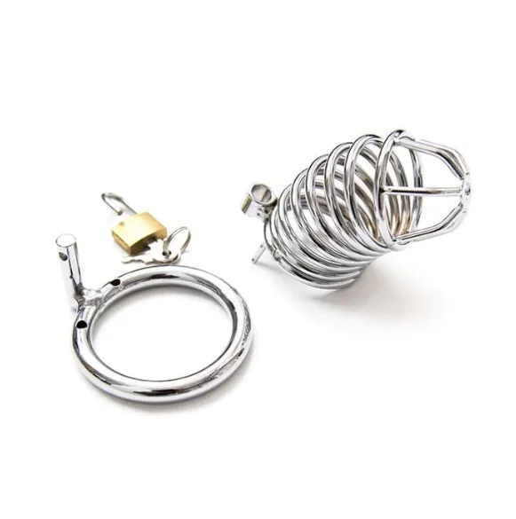 15258057066-whatsapp-image-2024-03-15-at-09-58-32