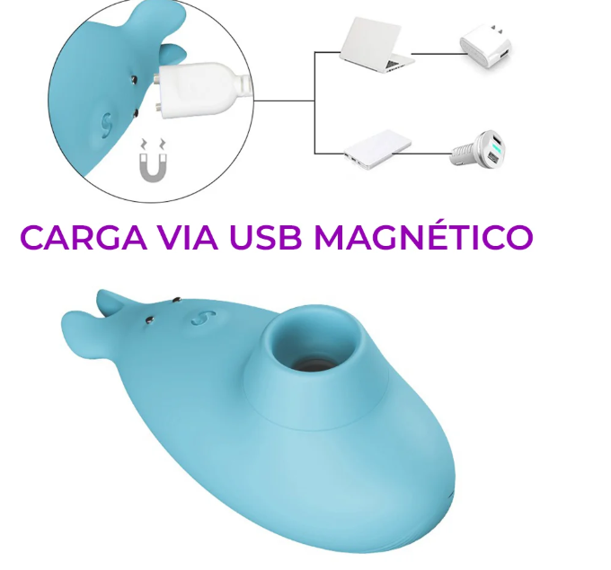 Captura de tela 2026-07-28 175814