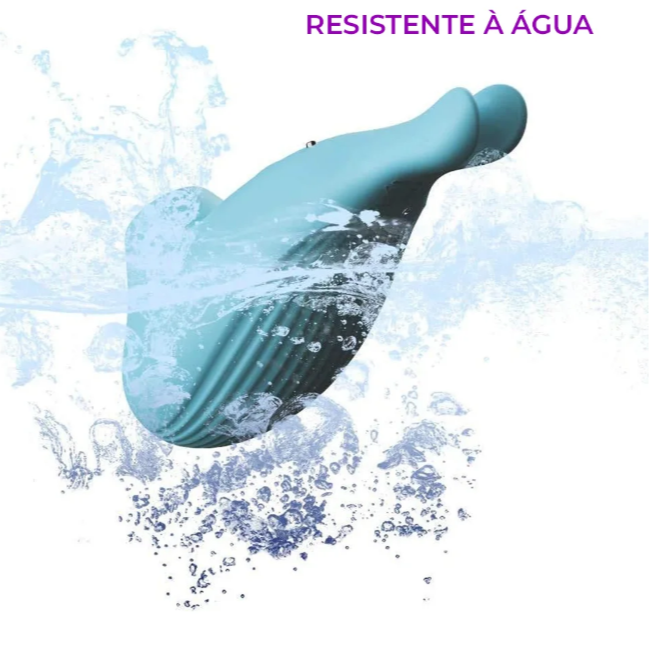 Captura de tela 2026-07-28 175835