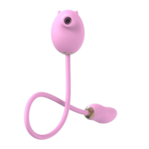 Vibrador Com Sugador e Bullet